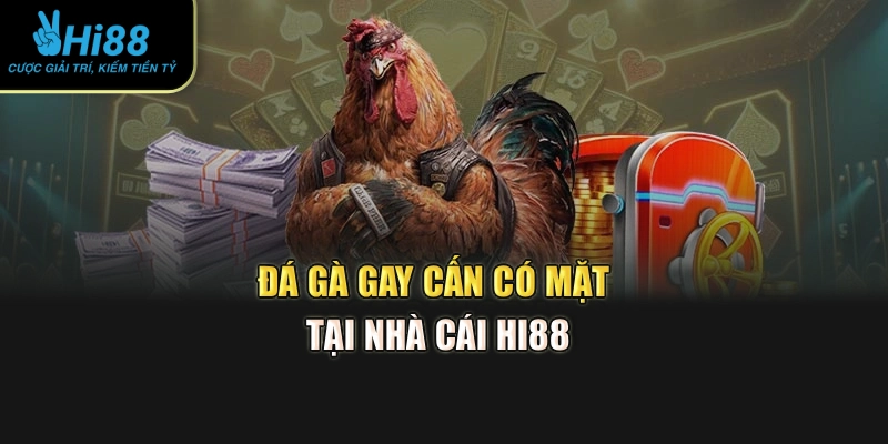 Đá gà gay cấn có mặt tại nhà cái Hi88